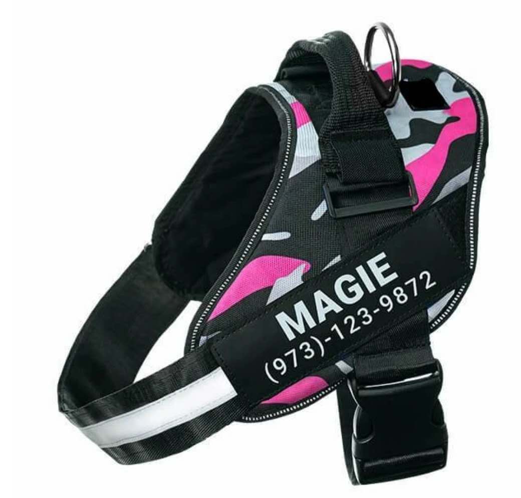 Your Dog's Name! Personalized, Adjustable No Pull Harness.