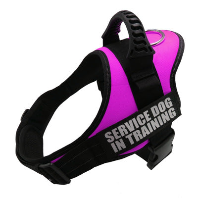Your Dog's Name! Personalized, Adjustable No Pull Harness.