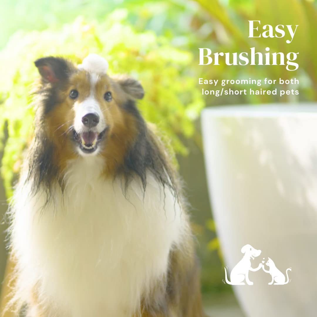 Gentle Deshedding Brush for Dogs and Cats