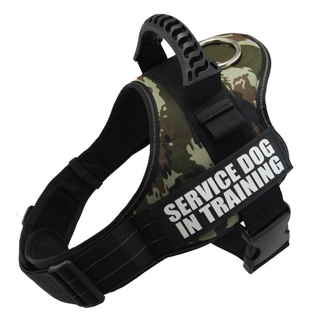 Your Dog's Name! Personalized, Adjustable No Pull Harness.