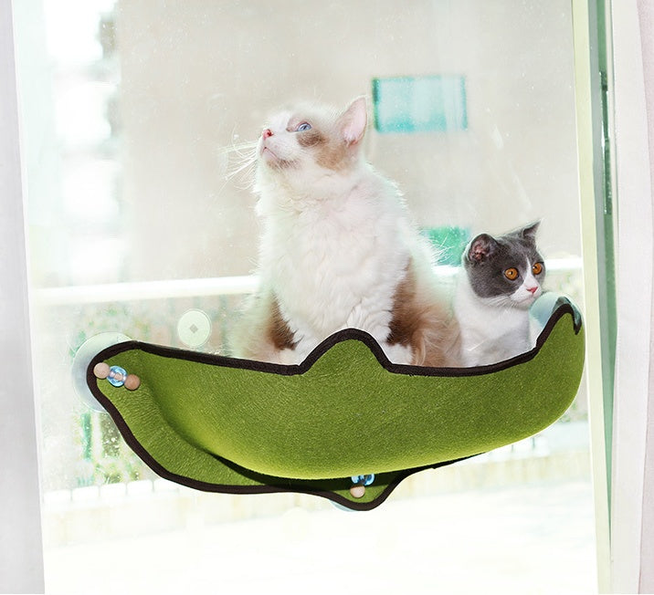 The Perfect View! Secure Cat Window Sill Perch.