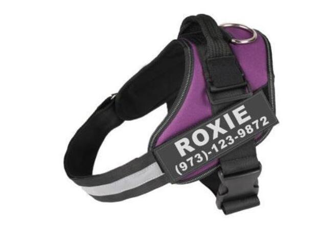 Your Dog's Name! Personalized, Adjustable No Pull Harness.