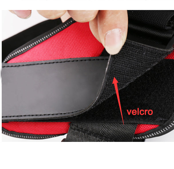 Your Dog's Name! Personalized, Adjustable No Pull Harness.