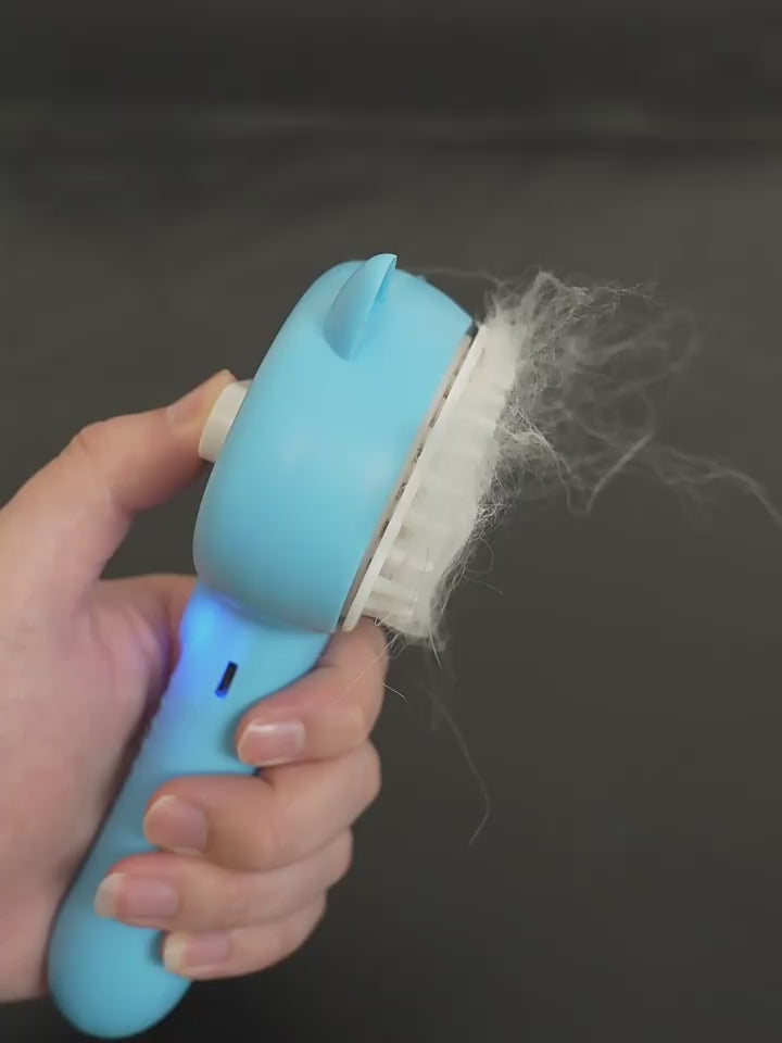Grooming Made Easy: Mist, Clean, and Rechargeable Brush.
