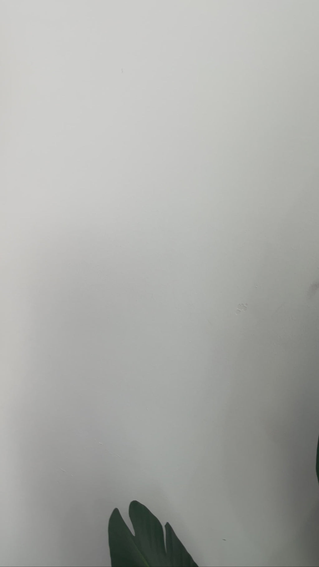 Magic Pet Hair Remover Roller – Fast & Easy Cleaning