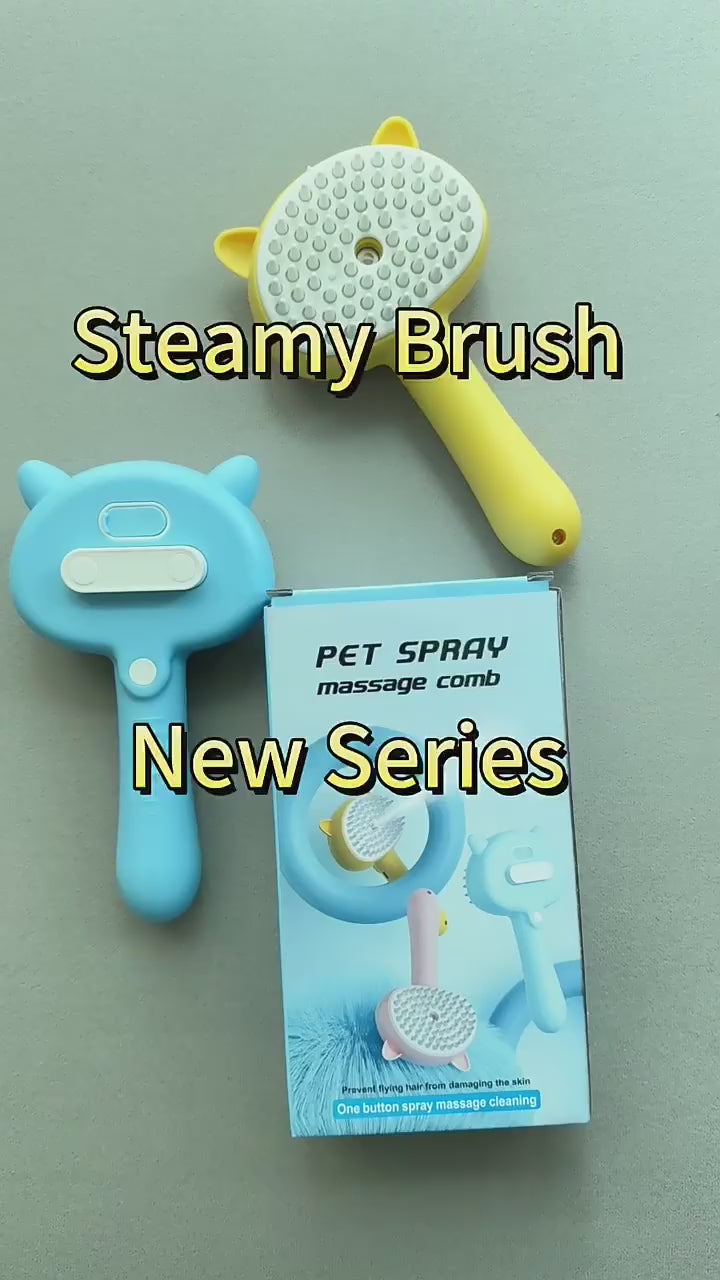 Grooming Made Easy: Mist, Clean, and Rechargeable Brush.